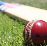 Cricket